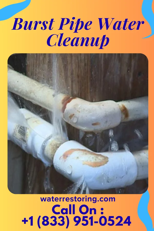 Burst Pipe Water Cleanup in Streetman, TX