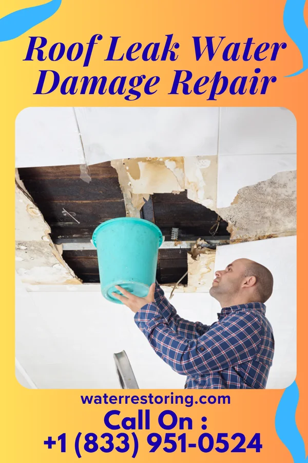 Roof Leak Water Damage Repair in Streetman, TX