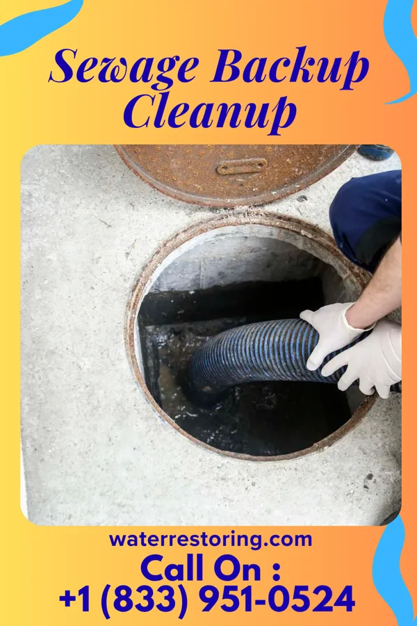 Sewage Backup Cleanup in Streetman, TX